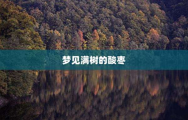 梦见满树的酸枣