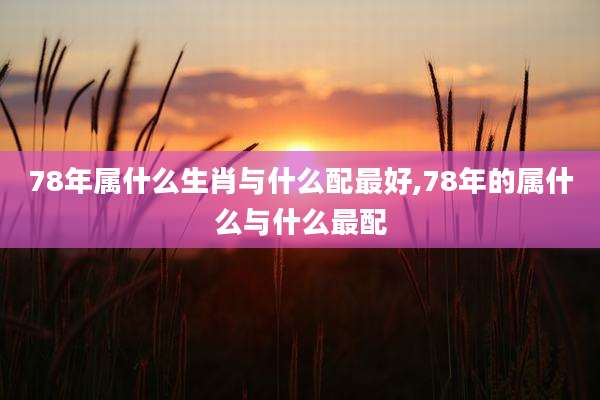 78年属什么生肖与什么配最好,78年的属什么与什么最配