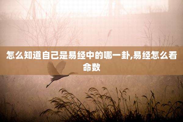 怎么知道自己是易经中的哪一卦,易经怎么看命数