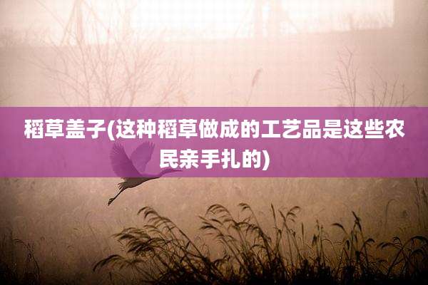 稻草盖子(这种稻草做成的工艺品是这些农民亲手扎的)