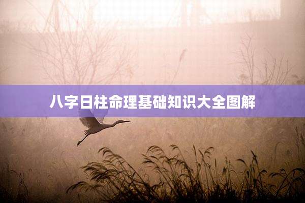 八字日柱命理基础知识大全图解