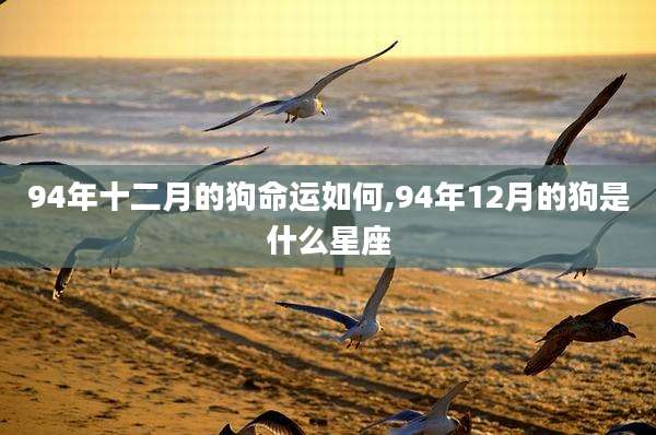 94年十二月的狗命运如何,94年12月的狗是什么星座