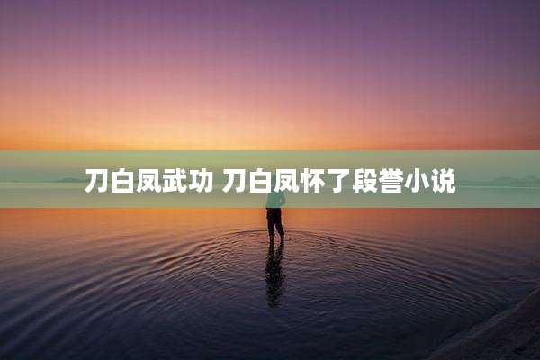刀白凤武功 刀白凤怀了段誉小说