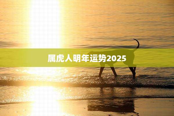 属虎人明年运势2025