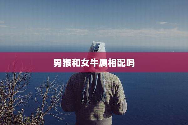 男猴和女牛属相配吗