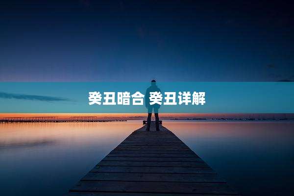 癸丑暗合 癸丑详解