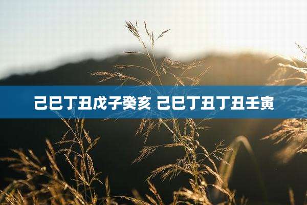 己巳丁丑戊子癸亥 己巳丁丑丁丑壬寅