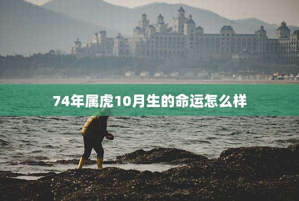 74年属虎10月生的命运怎么样