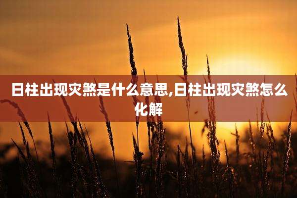 日柱出现灾煞是什么意思,日柱出现灾煞怎么化解