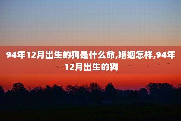 94年12月出生的狗是什么命,婚姻怎样,94年12月出生的狗