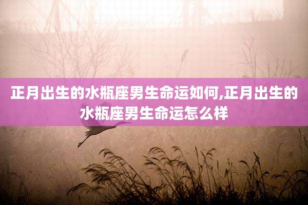 正月出生的水瓶座男生命运如何,正月出生的水瓶座男生命运怎么样