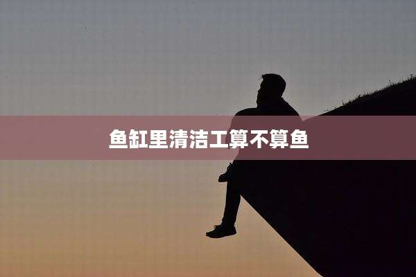 鱼缸里清洁工算不算鱼