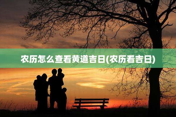 农历怎么查看黄道吉日(农历看吉日)
