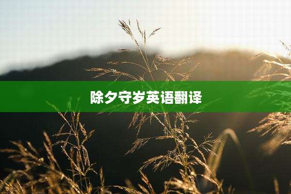 除夕守岁英语翻译