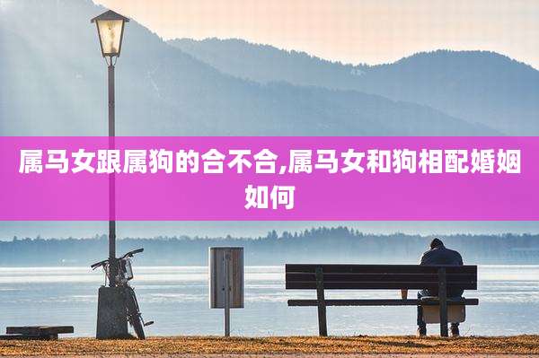 属马女跟属狗的合不合,属马女和狗相配婚姻如何