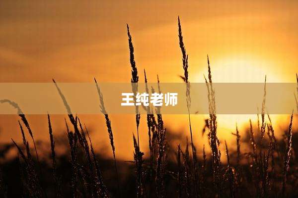王纯老师