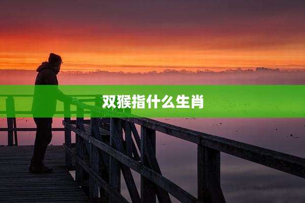 双猴指什么生肖