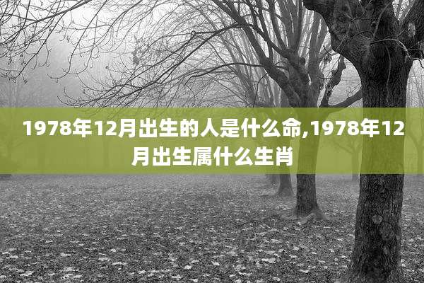 1978年12月出生的人是什么命,1978年12月出生属什么生肖