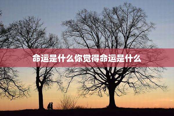 命运是什么你觉得命运是什么