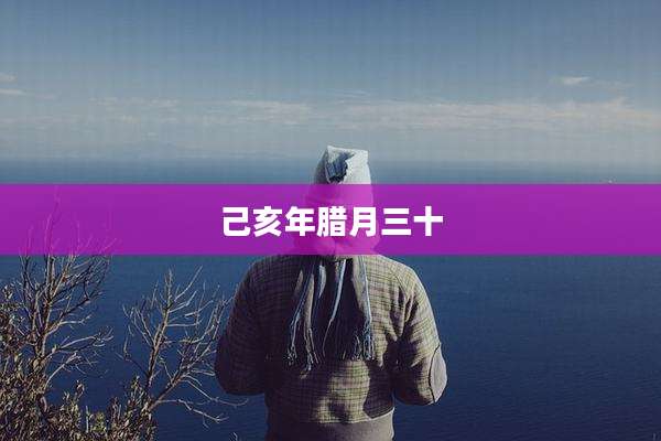 己亥年腊月三十
