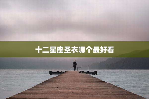十二星座圣衣哪个最好看