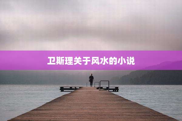 卫斯理关于风水的小说