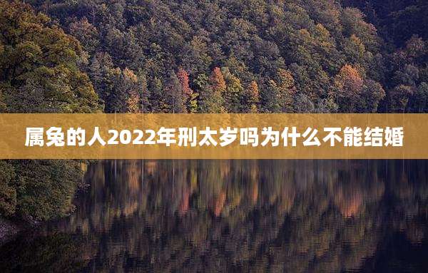 属兔的人2022年刑太岁吗为什么不能结婚