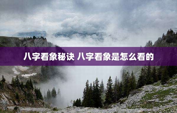 八字看象秘诀 八字看象是怎么看的
