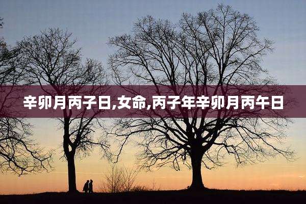 辛卯月丙子日,女命,丙子年辛卯月丙午日
