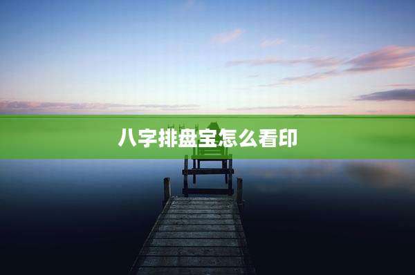 八字排盘宝怎么看印