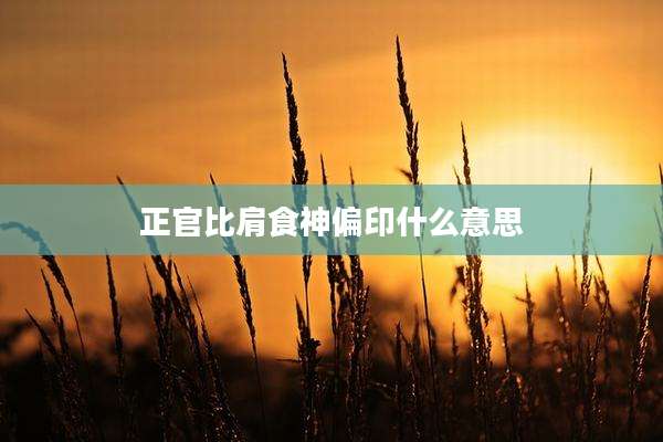 正官比肩食神偏印什么意思