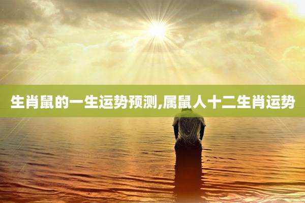生肖鼠的一生运势预测,属鼠人十二生肖运势