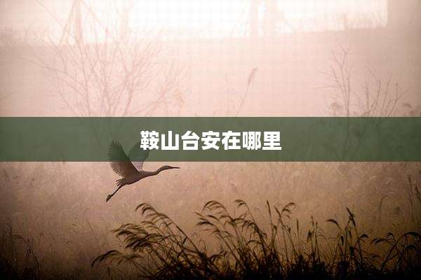 鞍山台安在哪里