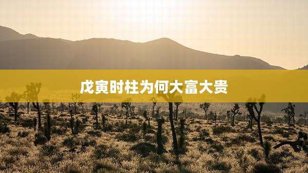 戊寅时柱为何大富大贵