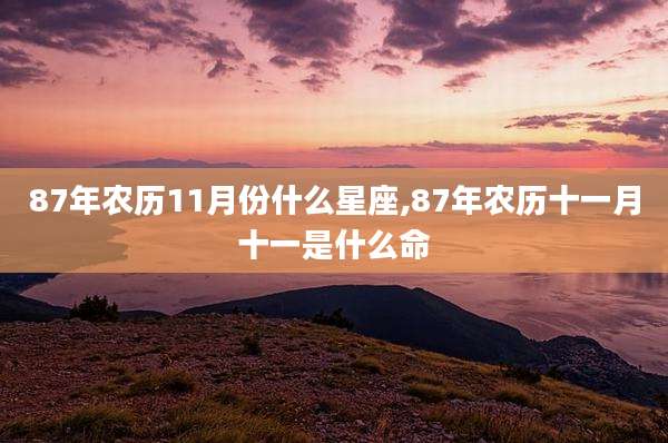 87年农历11月份什么星座,87年农历十一月十一是什么命