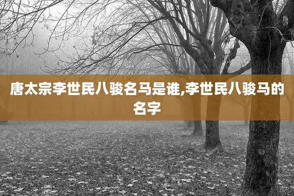 唐太宗李世民八骏名马是谁,李世民八骏马的名字
