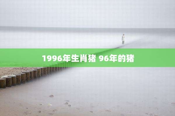 1996年生肖猪 96年的猪