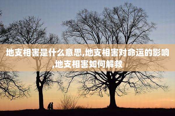 地支相害是什么意思,地支相害对命运的影响,地支相害如何解救