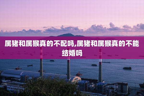 属猪和属猴真的不配吗,属猪和属猴真的不能结婚吗