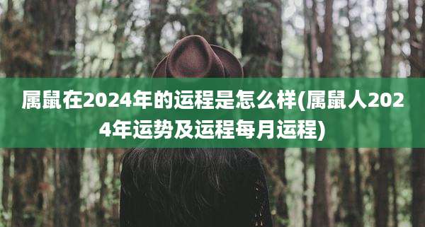 属鼠在2024年的运程是怎么样(属鼠人2024年运势及运程每月运程)