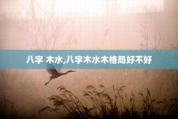 八字 木水,八字木水木格局好不好