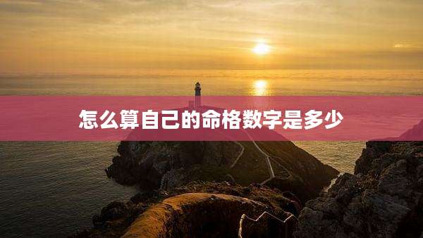 怎么算自己的命格数字是多少