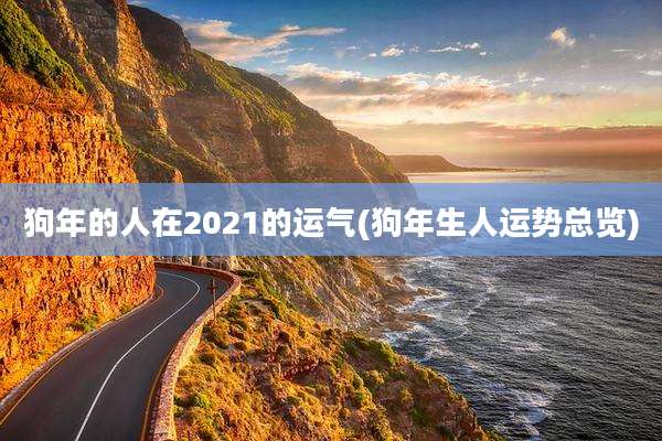 狗年的人在2021的运气(狗年生人运势总览)