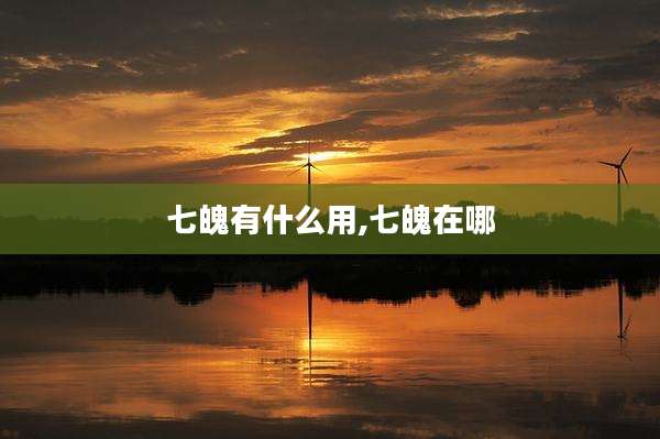 七魄有什么用,七魄在哪