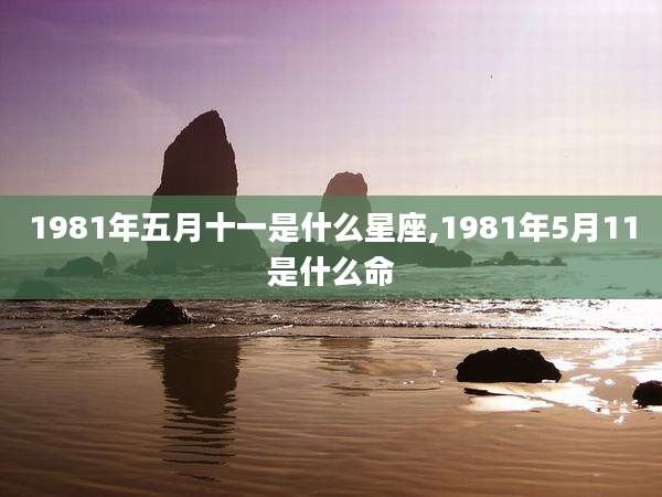 1981年五月十一是什么星座,1981年5月11是什么命