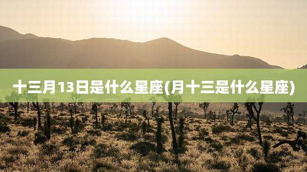十三月13日是什么星座(月十三是什么星座)