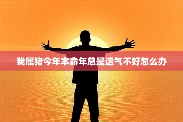 我属猪今年本命年总是运气不好怎么办