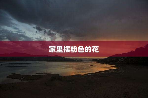 家里摆粉色的花