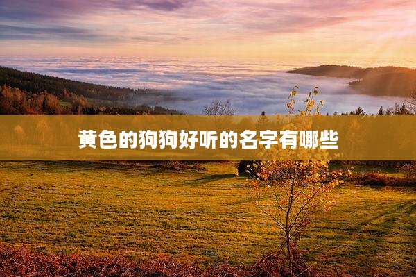 黄色的狗狗好听的名字有哪些