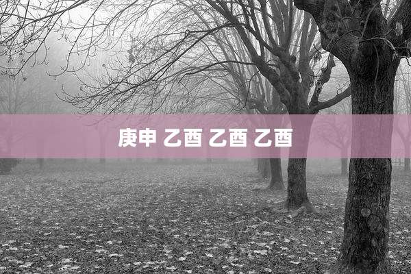 庚申 乙酉 乙酉 乙酉